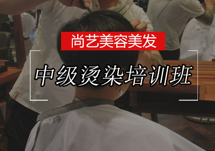 尚艺中级烫染培训班
