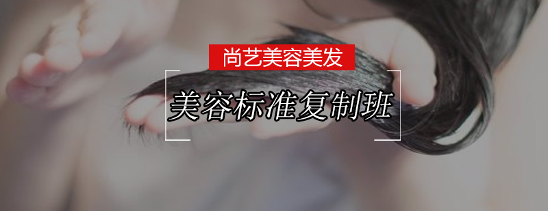美容标准复制培训课程