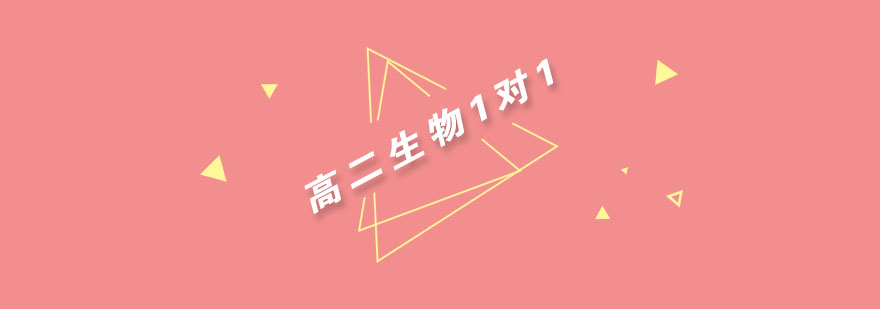 生物实验教学实景