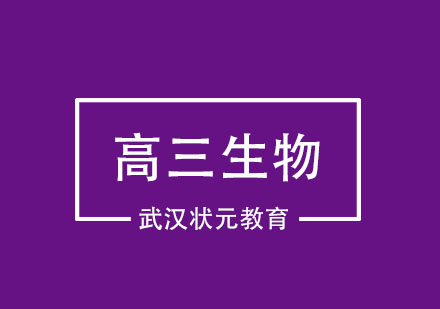 武汉高三生物1对1精品班