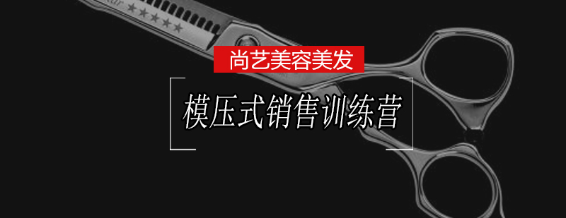 销售铁军训练场景