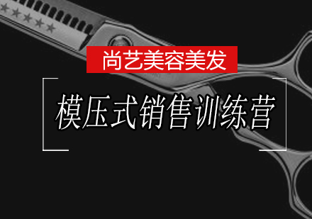 尚艺模压式销售训练营