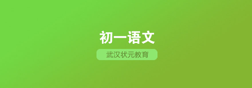 初中语文个性化辅导