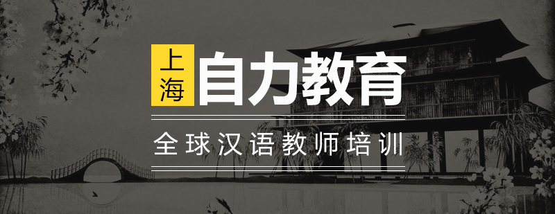 汉语教学实践