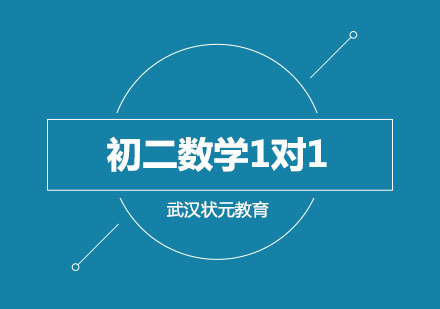 武汉初二数学1对1精品班