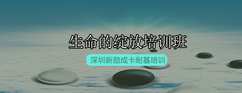 生命绽放课程体系