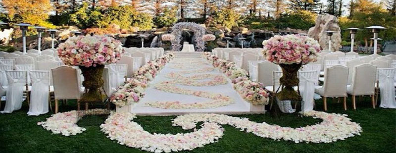 婚礼主持实训现场
