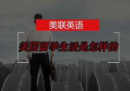 美国留学生存指南：学术挑战与文化适应实录