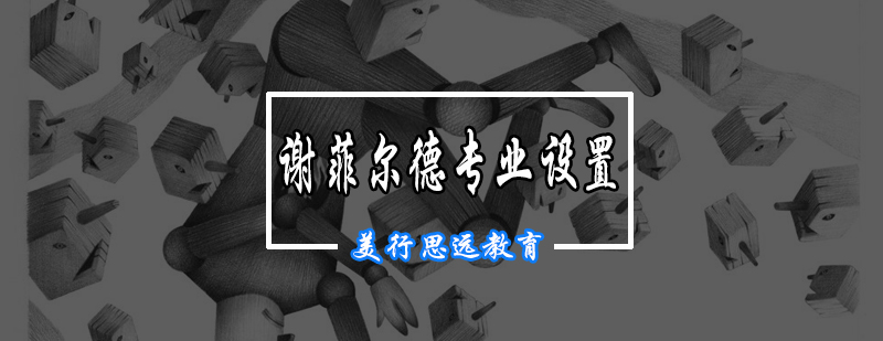 谢大艺术专业