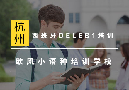 杭州西班牙DELEB1考前冲刺培训