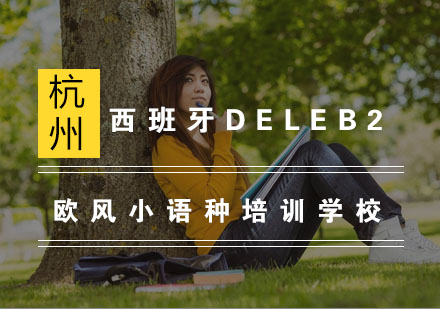 杭州西班牙DELEB2考前冲刺班