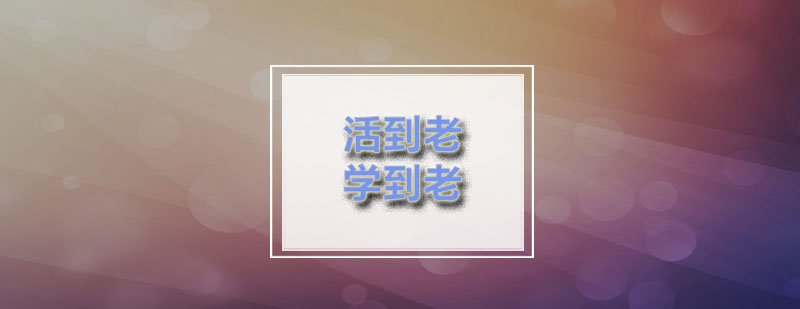职业能力发展示意图
