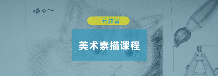 素描作品展示