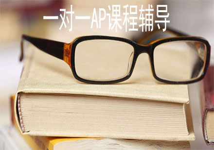 上海一對(duì)一AP課程輔導(dǎo)