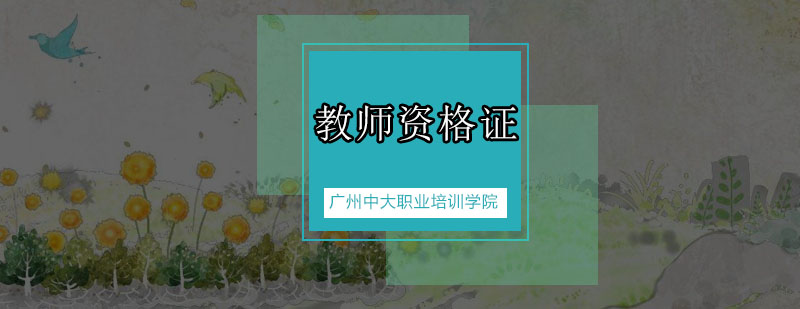 教师资格证考试指导