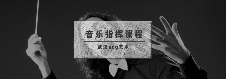 武汉acg音乐指挥辅导班