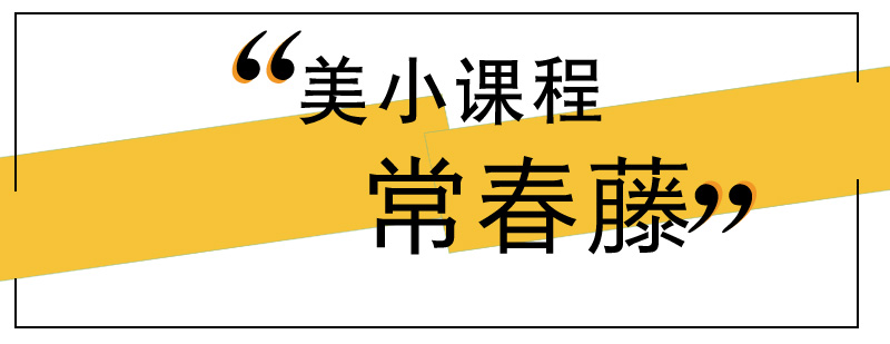 美小课程体验班