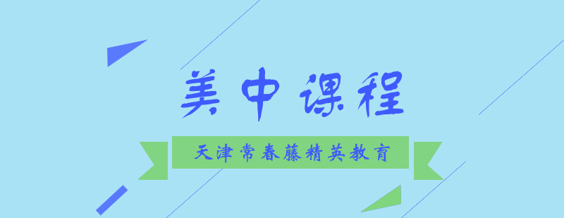 美中双轨课程体系