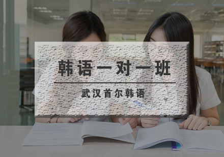 武汉首尔韩语一对一定制班