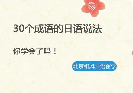 日语成语精解：30个高频表达深度解析