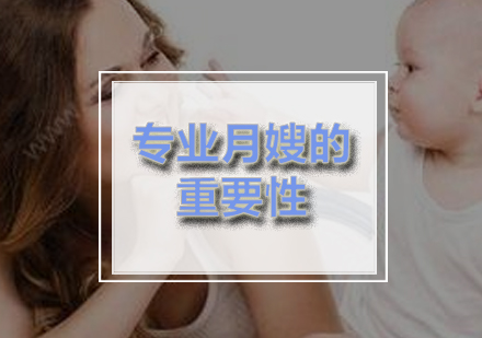 职业月嫂服务核心价值解析