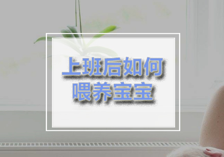 职场妈妈科学喂养全攻略