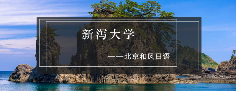 新泻大学全景