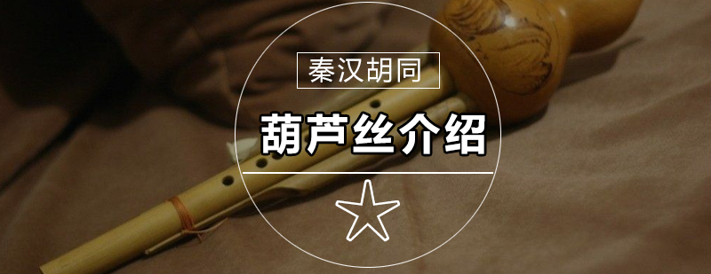 葫芦丝教学实景