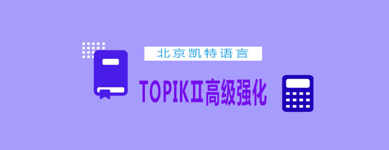 TOPIK高级强化