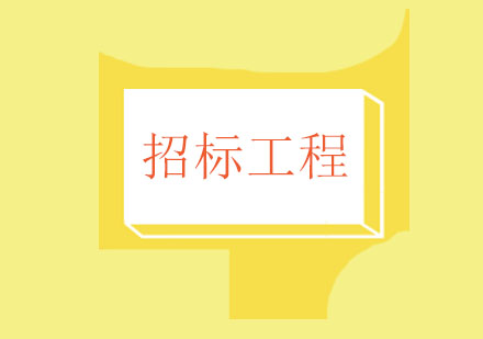 工程项目招标新规深度解析