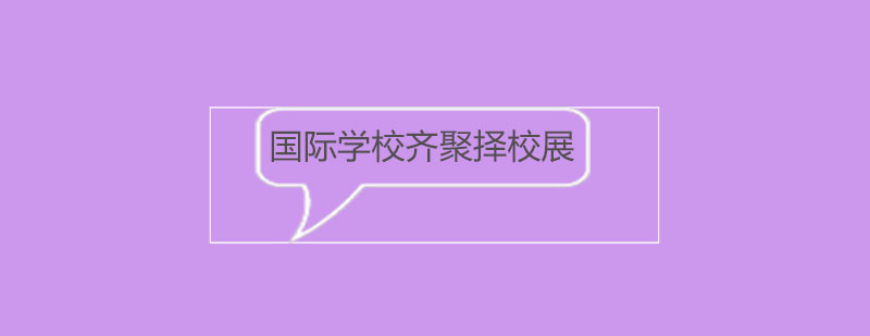 国际学校齐聚择校展