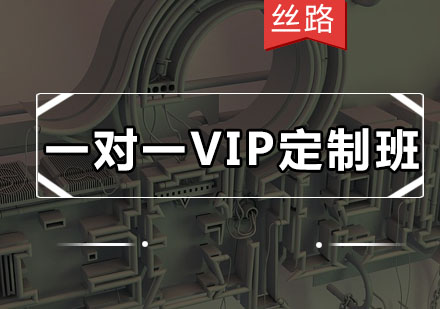 丝路一对一VIP定制班