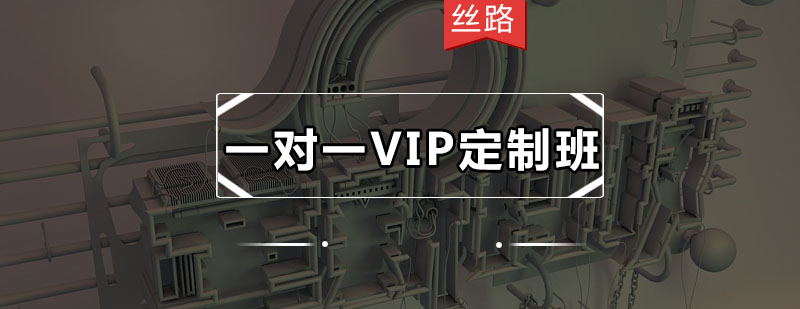 丝路一对一VIP定制班