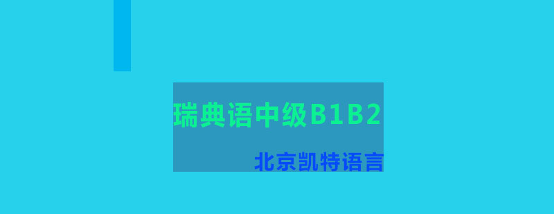 瑞典语中级B1B2