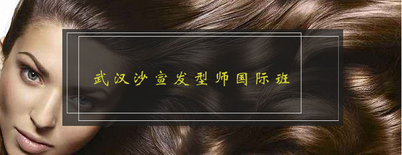 美发课程体系概览