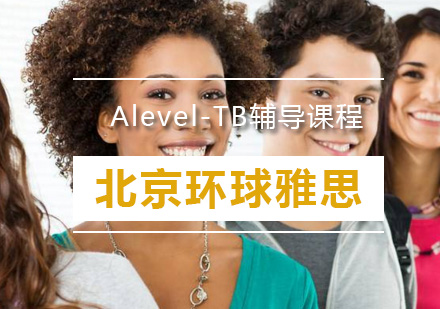 Alevel-TB辅导课程