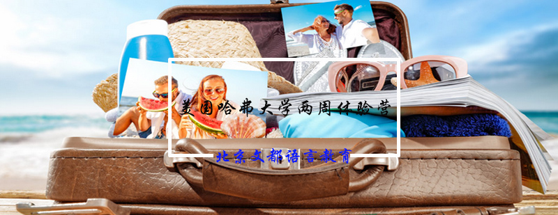 哈佛研学项目主视觉