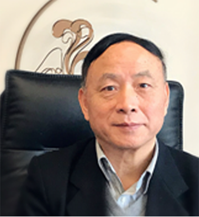 上海紫竹國際教育學(xué)院吳鳳羽老師