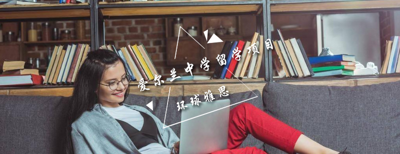 爱尔兰中学教育体系