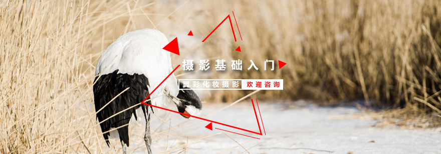 摄影器材实操教学