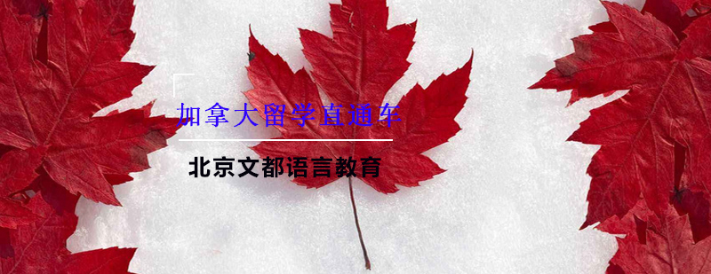 加拿大留学规划服务