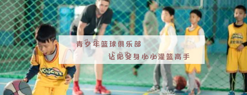 实战对抗训练