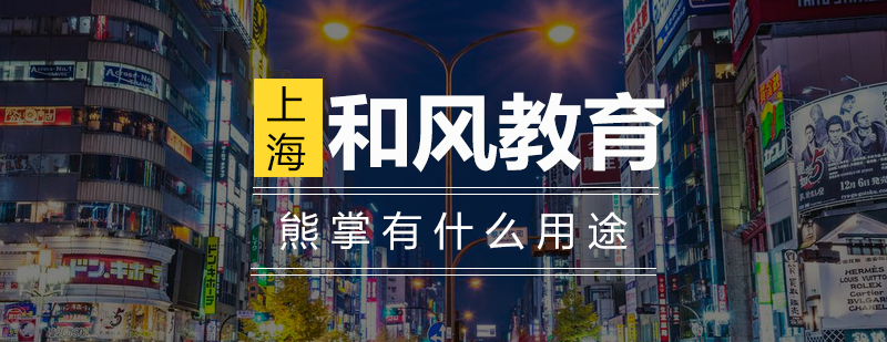 日本熊掌实物展示