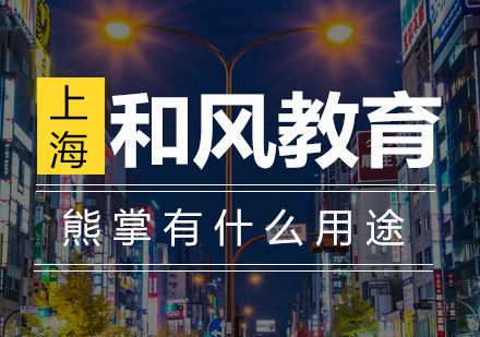 日本熊掌文化深度解析