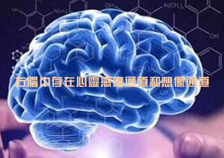 揭秘人类右脑潜能开发：心灵感应与图像思维的科学解析
