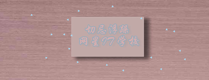 编程学习路径对比