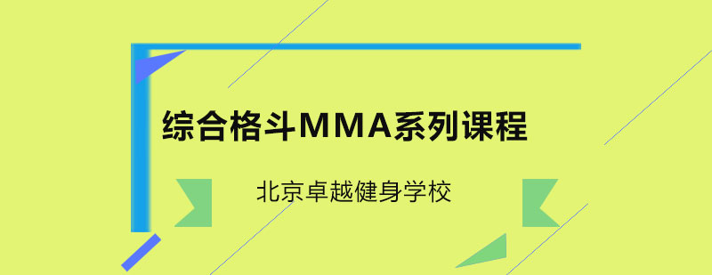 综合格斗MMA系列课程