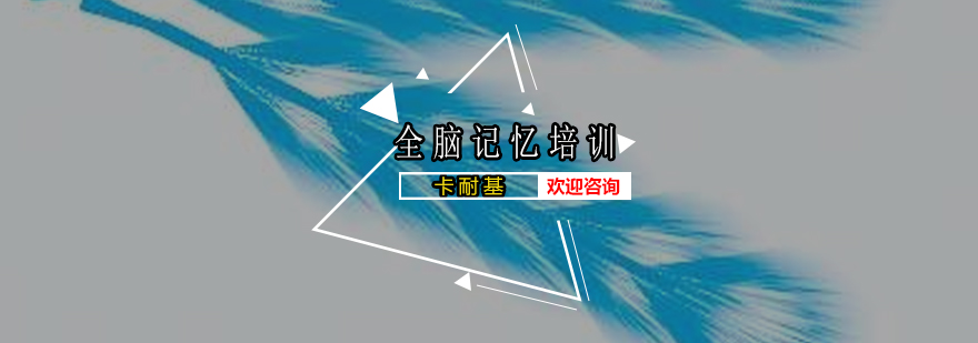 全脑记忆训练示意图