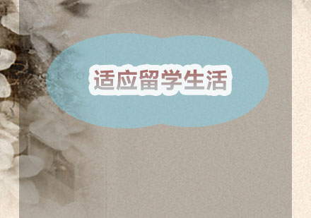 新通留学专家解析美国课堂适应策略