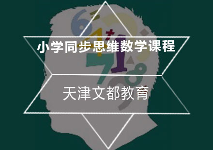 小学同步思维数学课程